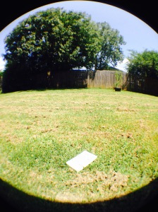 This is a picture of the book laying in the back yard. Picture taken with a fisheye lens.